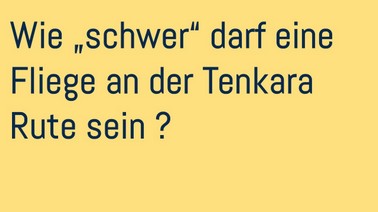 WIE SCHWER DARF FLIEGE SEIN.jpg